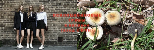 винт Алексеевка