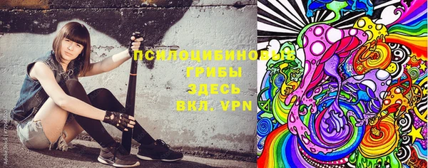 прущая мука Алексин