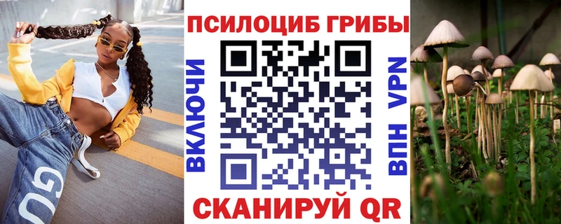 закладка Лиски blacksprut рабочий сайт Псилоцибиновые грибы MAGIC MUSHROOMS