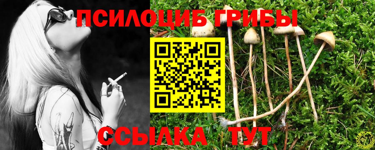 Псилоцибиновые грибы GOLDEN TEACHER  Галлюциногенные грибы Magic Shrooms  Вход с VPN  Лиски 