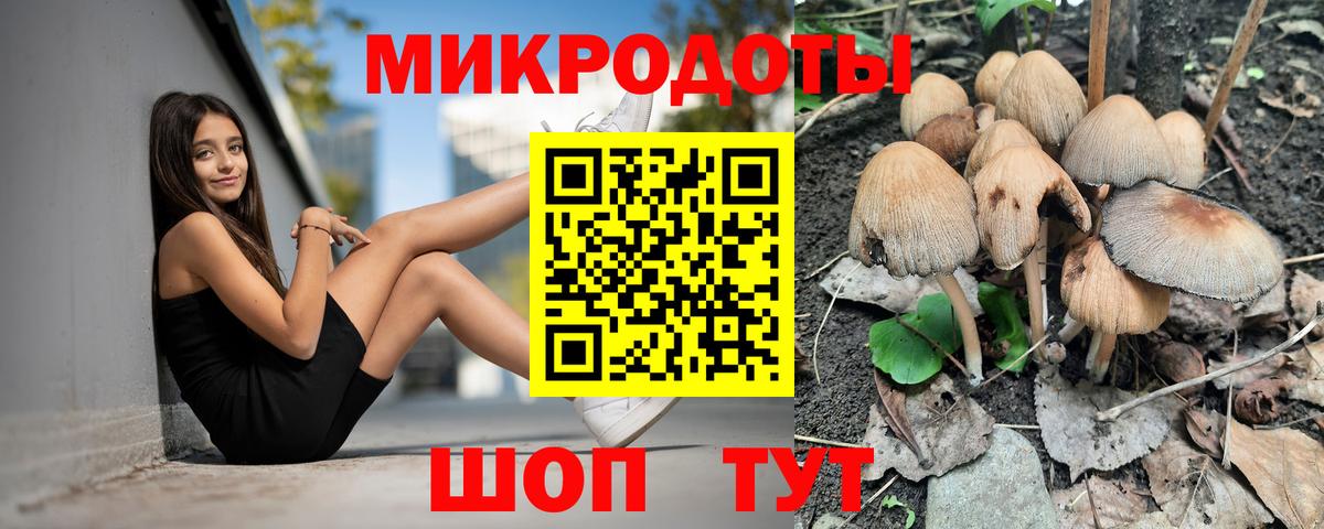 Псилоцибиновые грибы мицелий Лиски